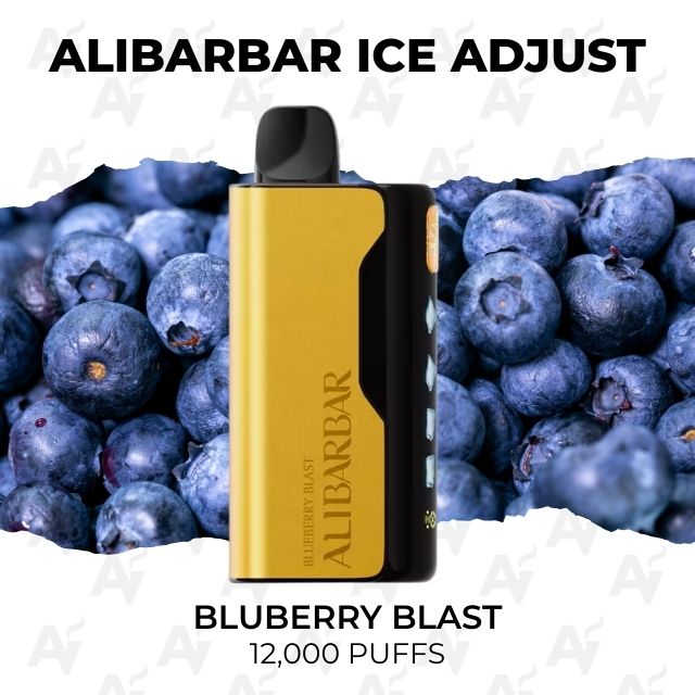 Alibarbar Ice Adjust Bluberry Blast 12000 Puffs